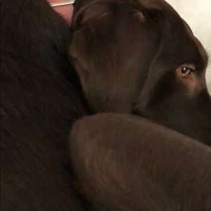 Meet your Posher, Katie